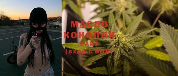 сатива Горняк