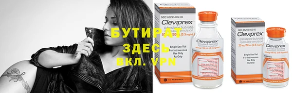 сатива Горняк