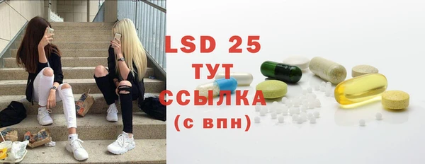 сатива Горняк