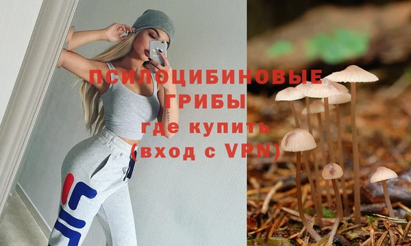 сатива Горняк