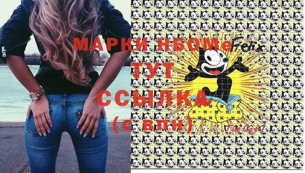 сатива Горняк