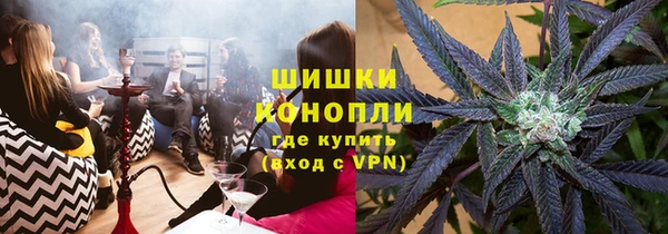 сатива Горняк
