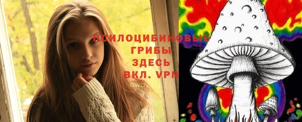 сатива Горняк