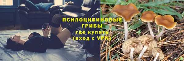 дживик Горно-Алтайск