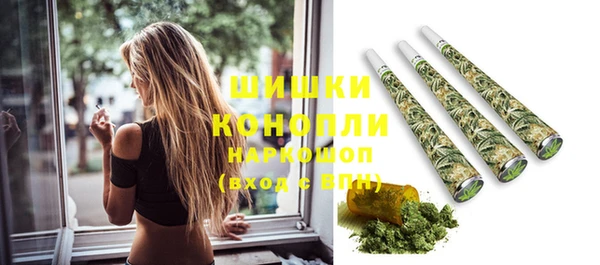 сатива Горняк