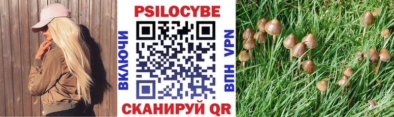 купить наркотики сайты  Зубцов  Псилоцибиновые грибы прущие грибы 